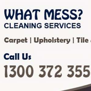 Photo: What Mess Cleaning Services